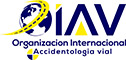 Organizacion Internacional accidentologia vial